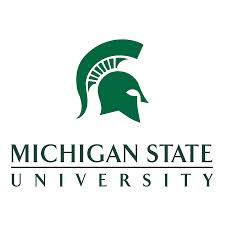 michigan state university